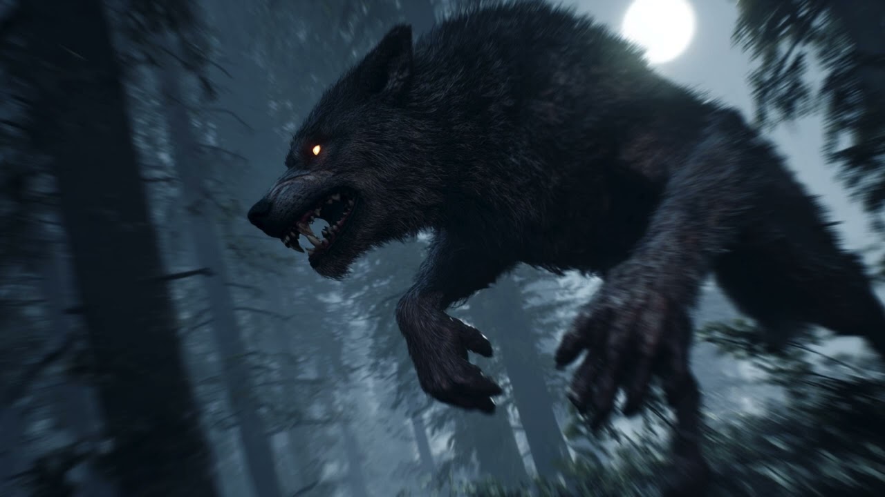 Wilcza Krew (High-Speed Folk-Punk / Industrial Thrash)