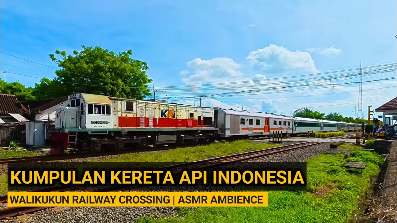 Ramai Kereta Api Lewat Walikukun | Beragam Jenis Kereta | Railway Ambience