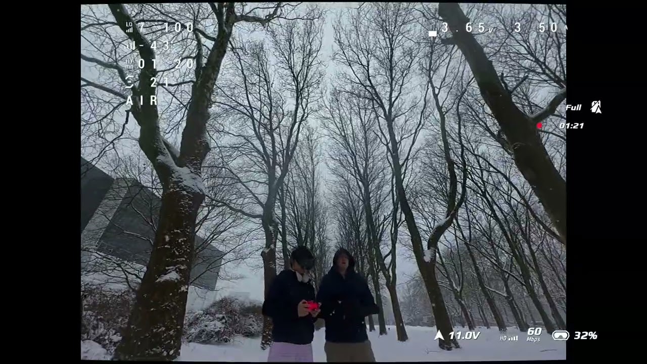 snee