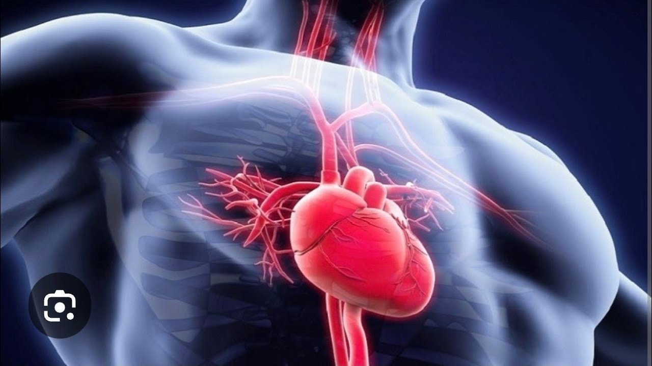Le nuove frontiere contro lo scompenso cardiaco