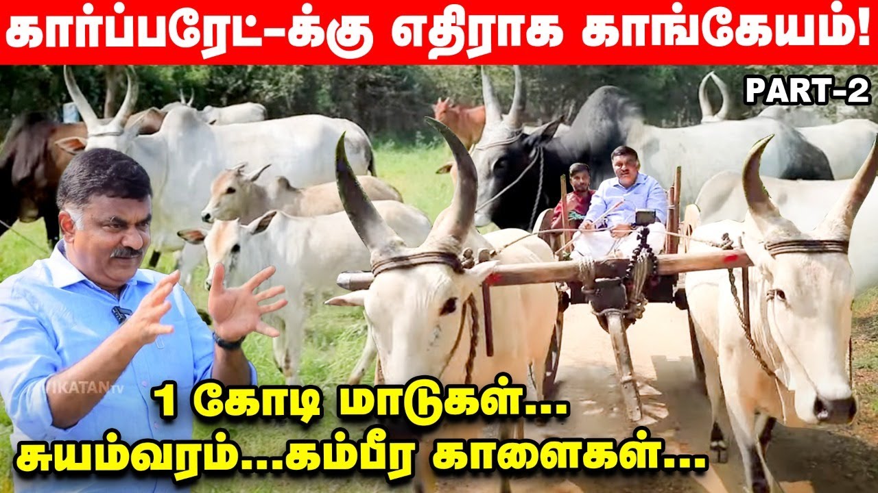 மாட்டு வண்டி இப்படிதான் ஓட்டணும்! கொரங்காடு ரொம்ப முக்கியம்! | Karthikeya Sivasenaapathy Part 2