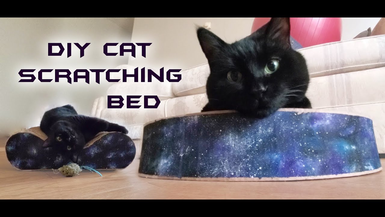 DIY Cardboard Cat Scratching Bed
