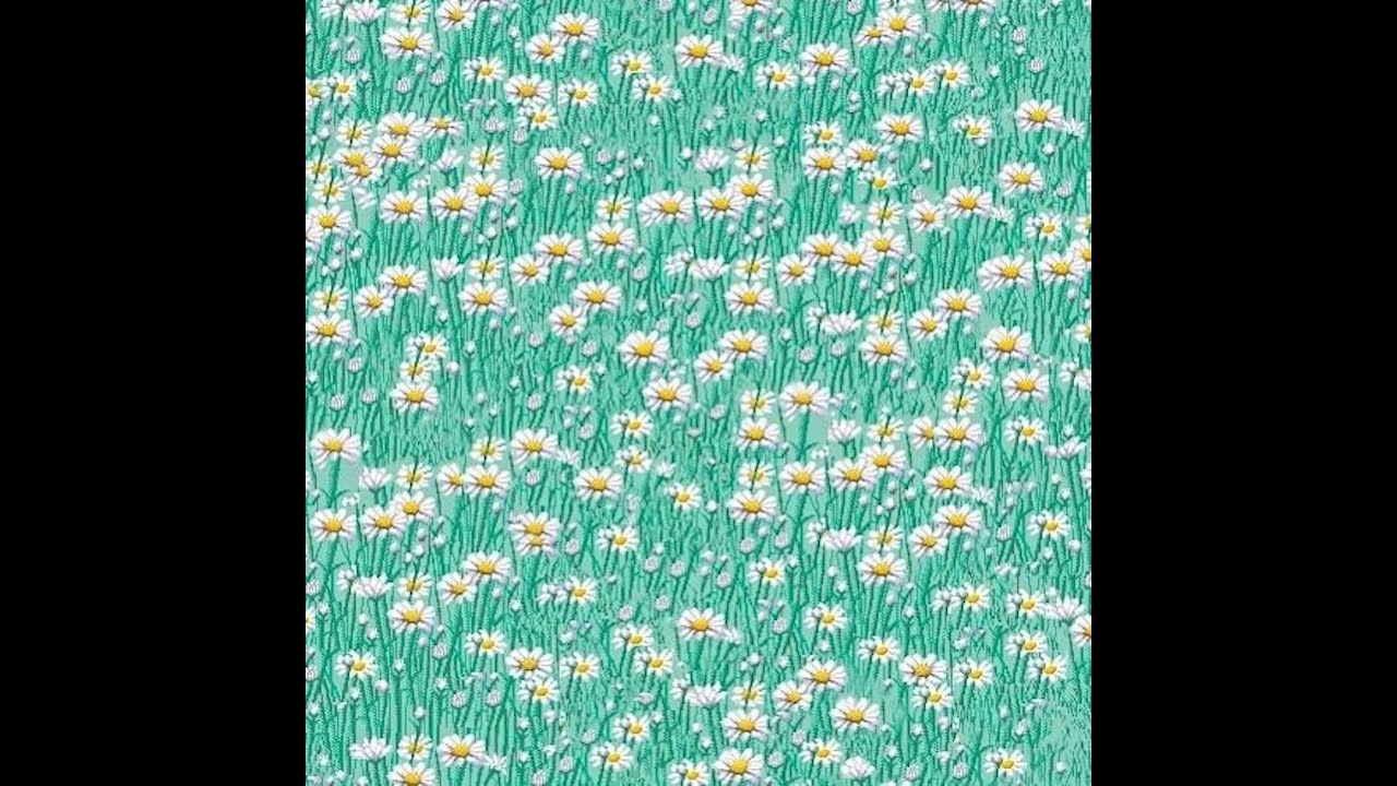 need 2 hoodtrap - prodwhite remix