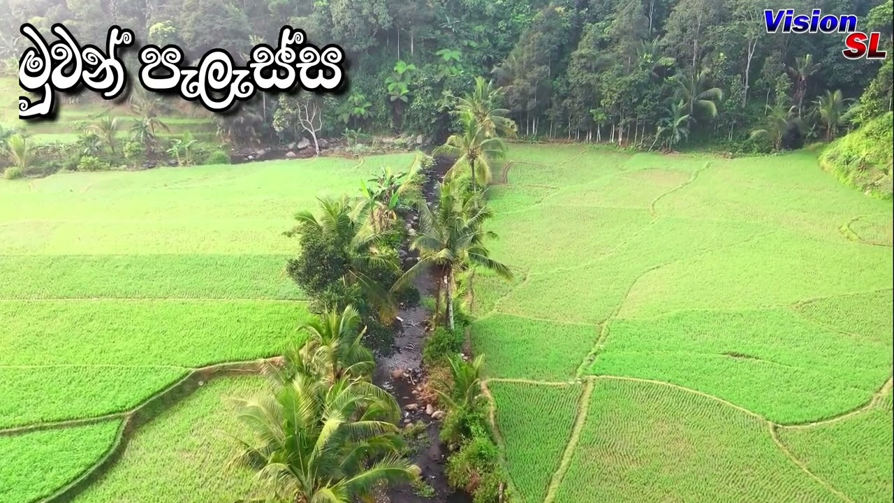 මුවන් පැලැස්ස ඉස්සර හරිම ආසාවෙන් අහපු කතාවක්