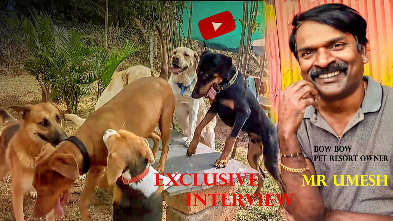 A Pet Resort In Mysore | Exclusive Interview of  Bow Bow  Pet Resort Owner Mr. Umesh