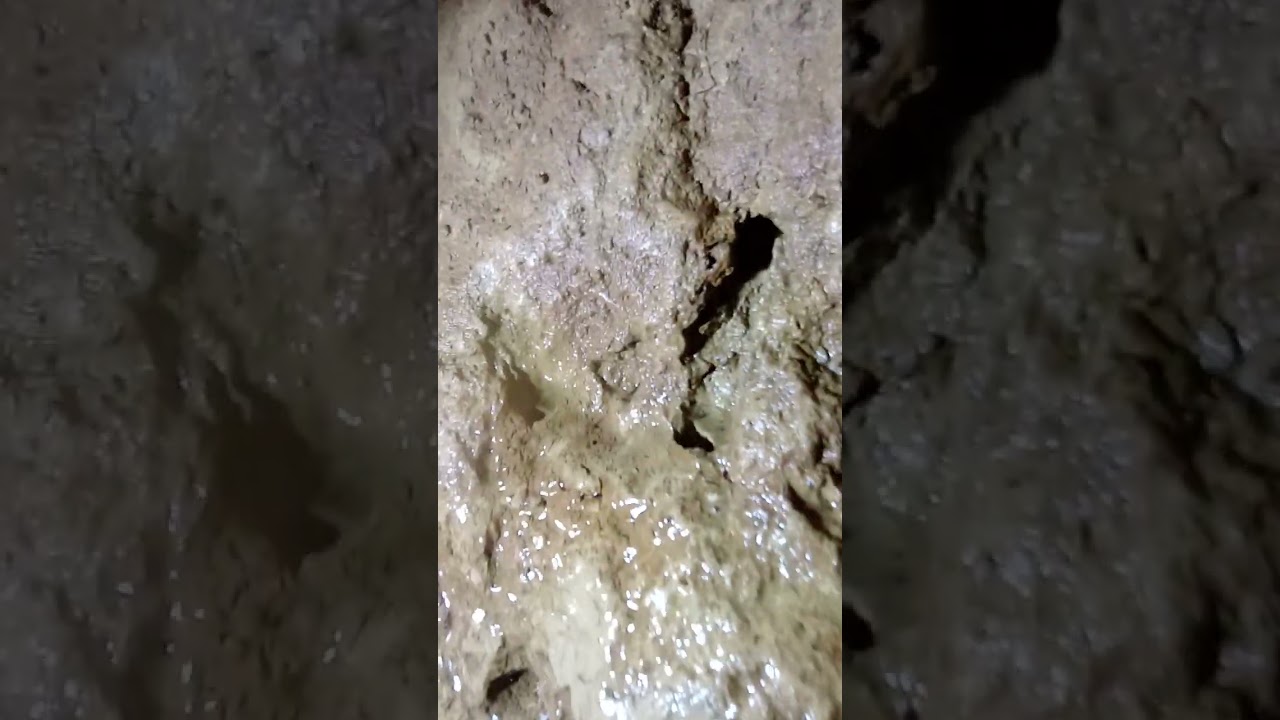 Хан Аспарухово 31март2024г