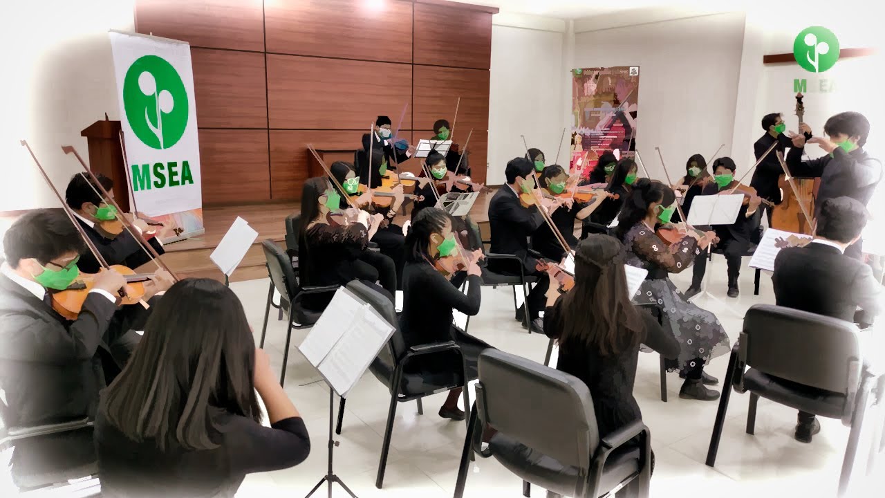 Beethoven Virus - Orquesta juvenil Movimiento Sinfónico de El Alto