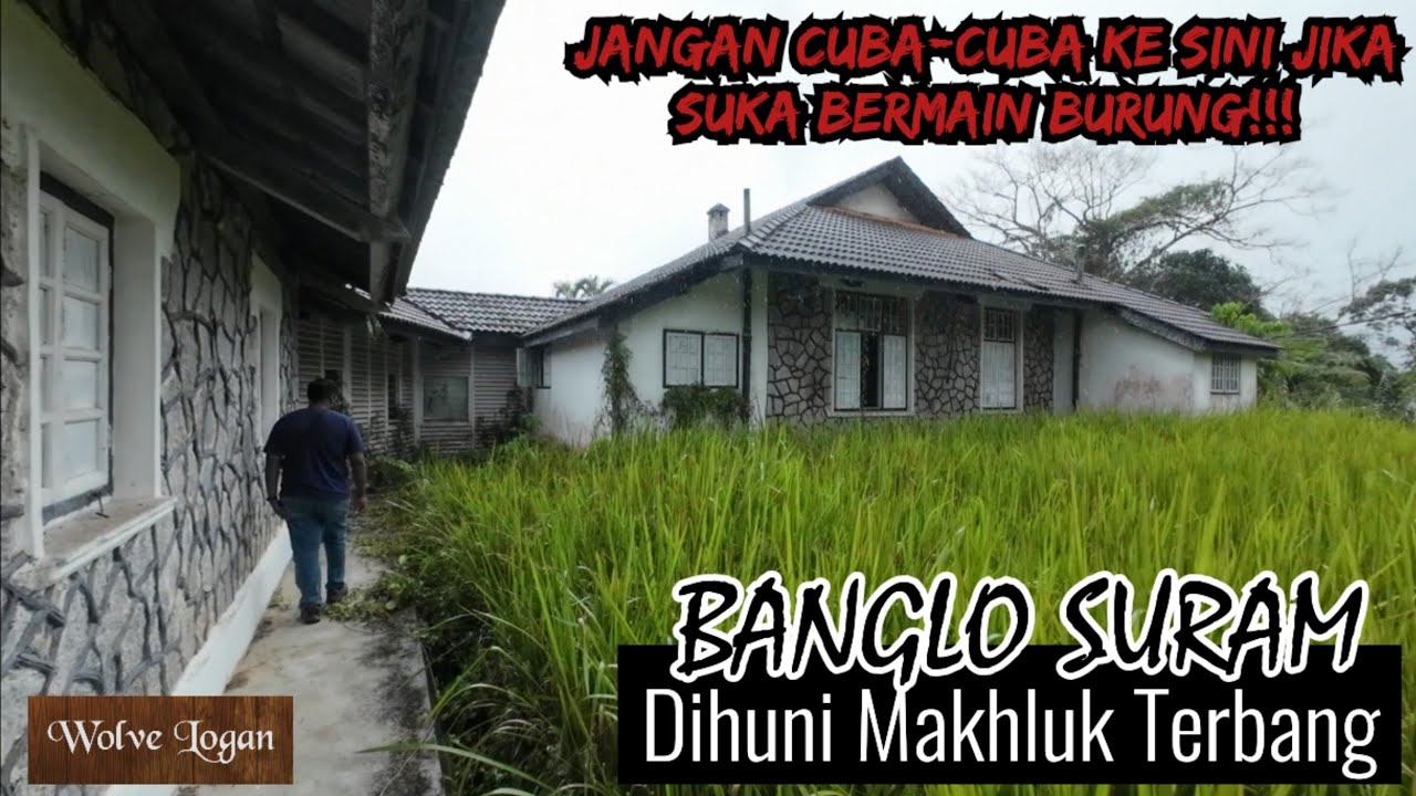 Penerokaan Urban 🏚️🏬 | Banglo Suram Dihuni Makhluk Terbang | Wolve Logan