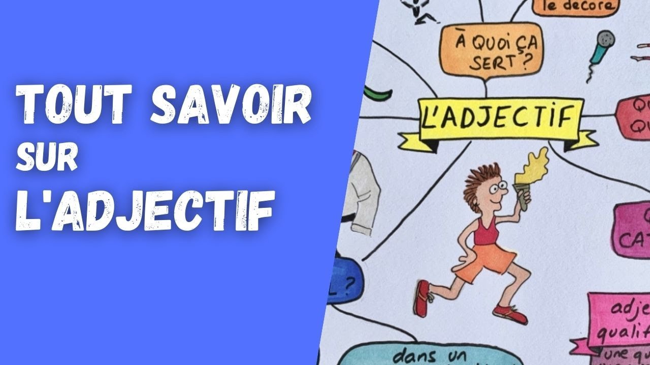 L'ADJECTIF : révisions indispensables pour progresser en grammaire