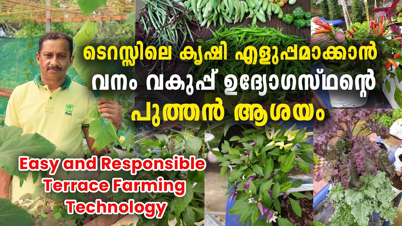 ടെറസ്സിലെ കൃഷി എളുപ്പമാക്കാൻ വനംവകുപ്പ് ഉദ്യോ​ഗസ്ഥൻ്റെ  പുത്തൻ ആശയം |Easy Terrace Farming Technology