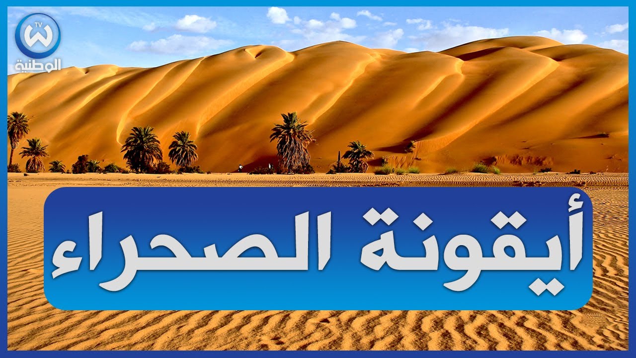 ادرار مدينة القصور وايقونة الصحراء..