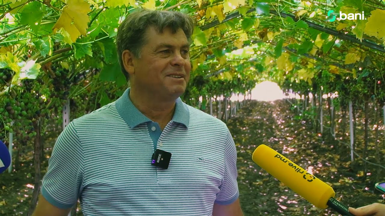 Petru Mihov, conducător 