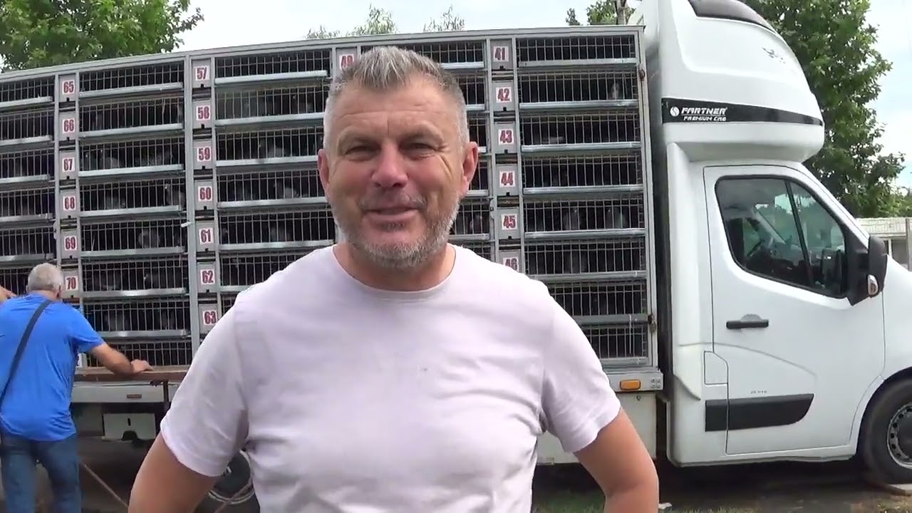 Interviu columbofil dl Sandu Catalin Chitila Ilfov Romania 1 iunie 2024