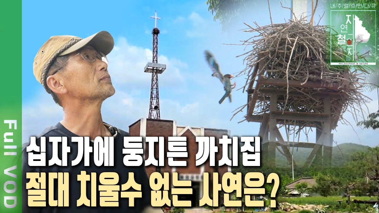강원도 시골에 자급자족 100% '농부목사'가 있다! 30년간 농촌교회 떠나지 못한 이유는?  | 자연의 철학자들 62부 (KBS 20230623 방송)