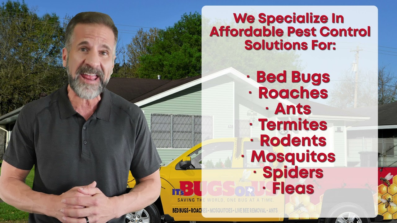 Texas Pest Control | It's Bugs Or Us&reg;