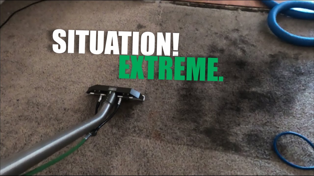 Carpet Steam Cleaning Product Review | YOUR NOT Gonna want to miss This!