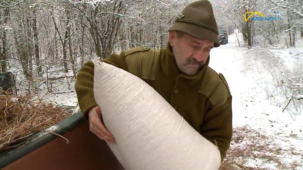 Téli vadetetés Szolnok határában 2018.12.20.