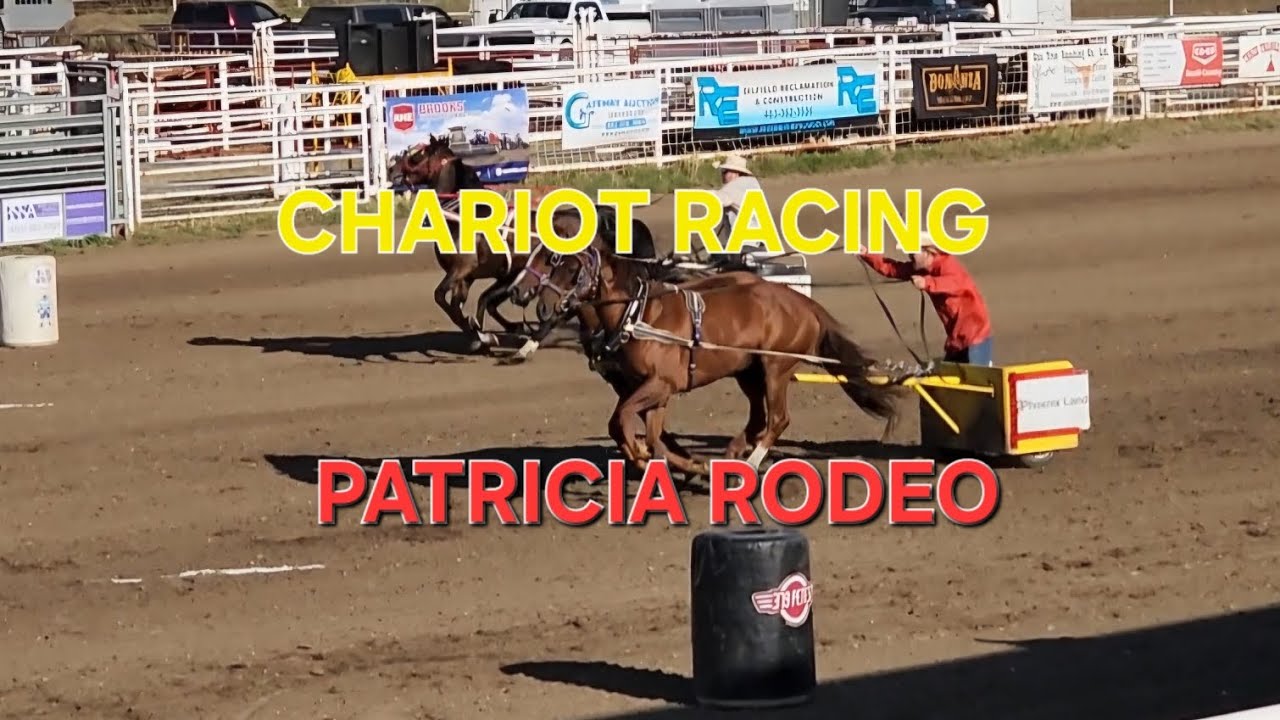 2025 Chariot racing Heat 1-6 l Patricia Alberta 