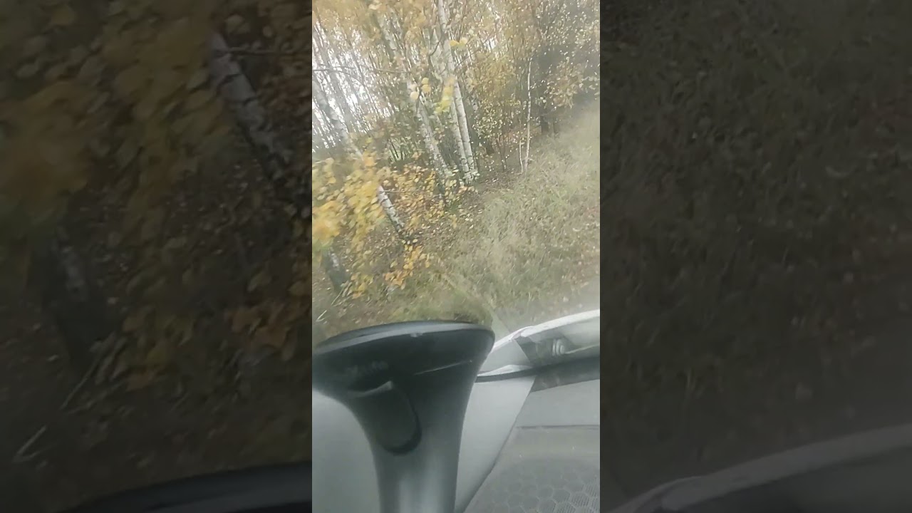 Sami wyłączyli nagranie. Tak prawda działa na dziw.. z klanu..