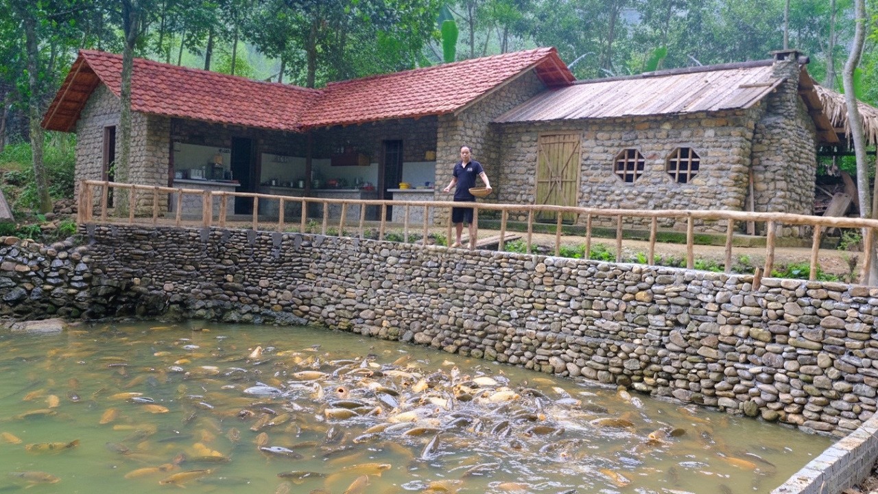 Building a massive stone wall for the fish pond and to prevent landslides for the house