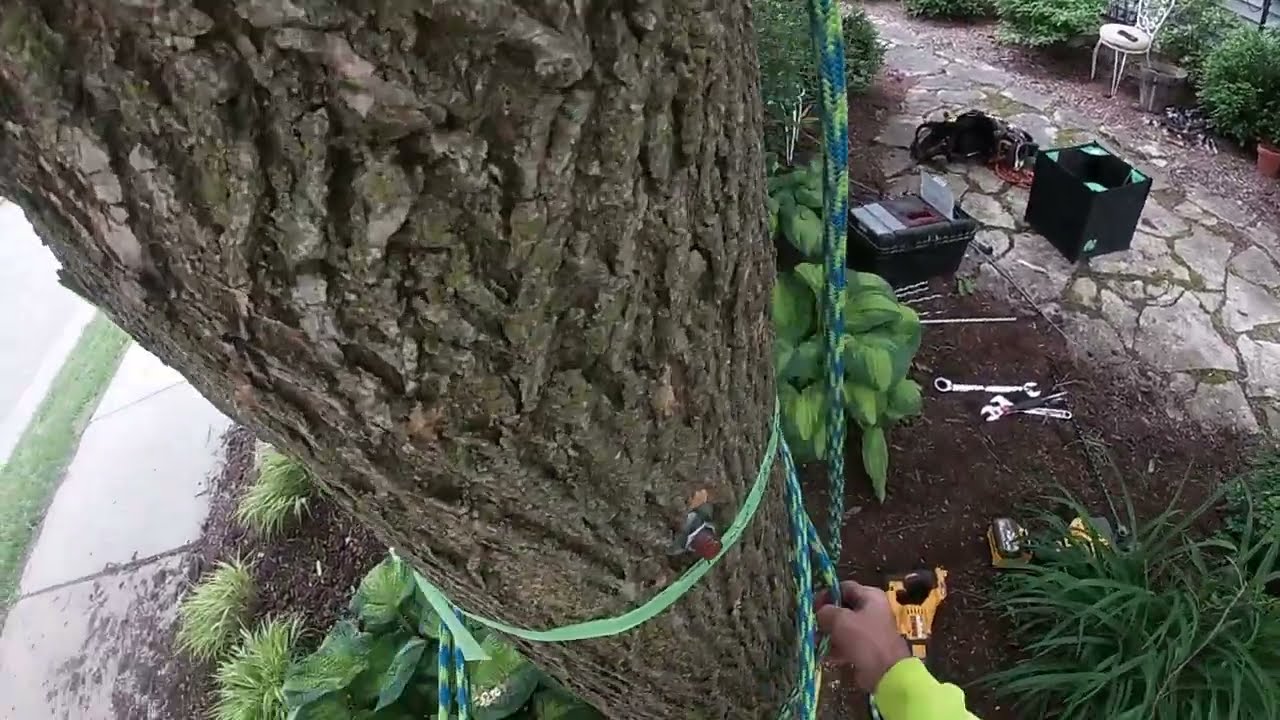 Лучшее видео о кабельных соединениях