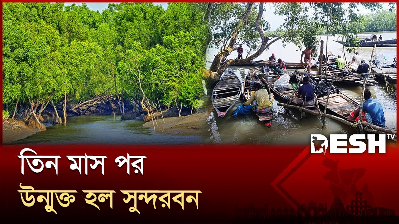 তিন মাস বন্ধ থাকার পর পর্যটনের জন্য খুলছে সুন্দরবন | Sundarban | Desh TV