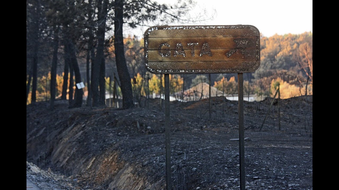 El incendio de Sierra de Gata, estabilizado tras arrasar más de 5.000 hectáreas