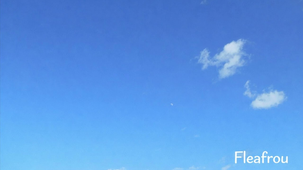 青空 (Poprock)