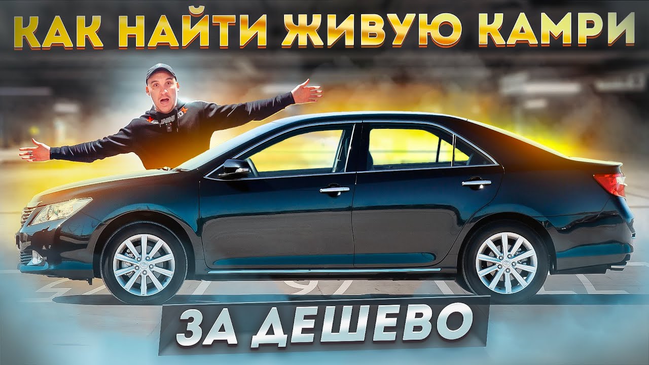 ИЩЕМ ЖИВУЮ КАМРИ ПО ДНУ РЫНКА