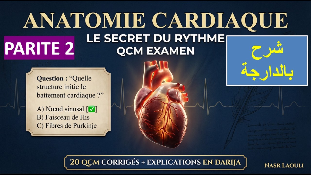 Partie 2 : شرح بالدارجة le Système Cardiovasculaire : 20 QCM de Révision