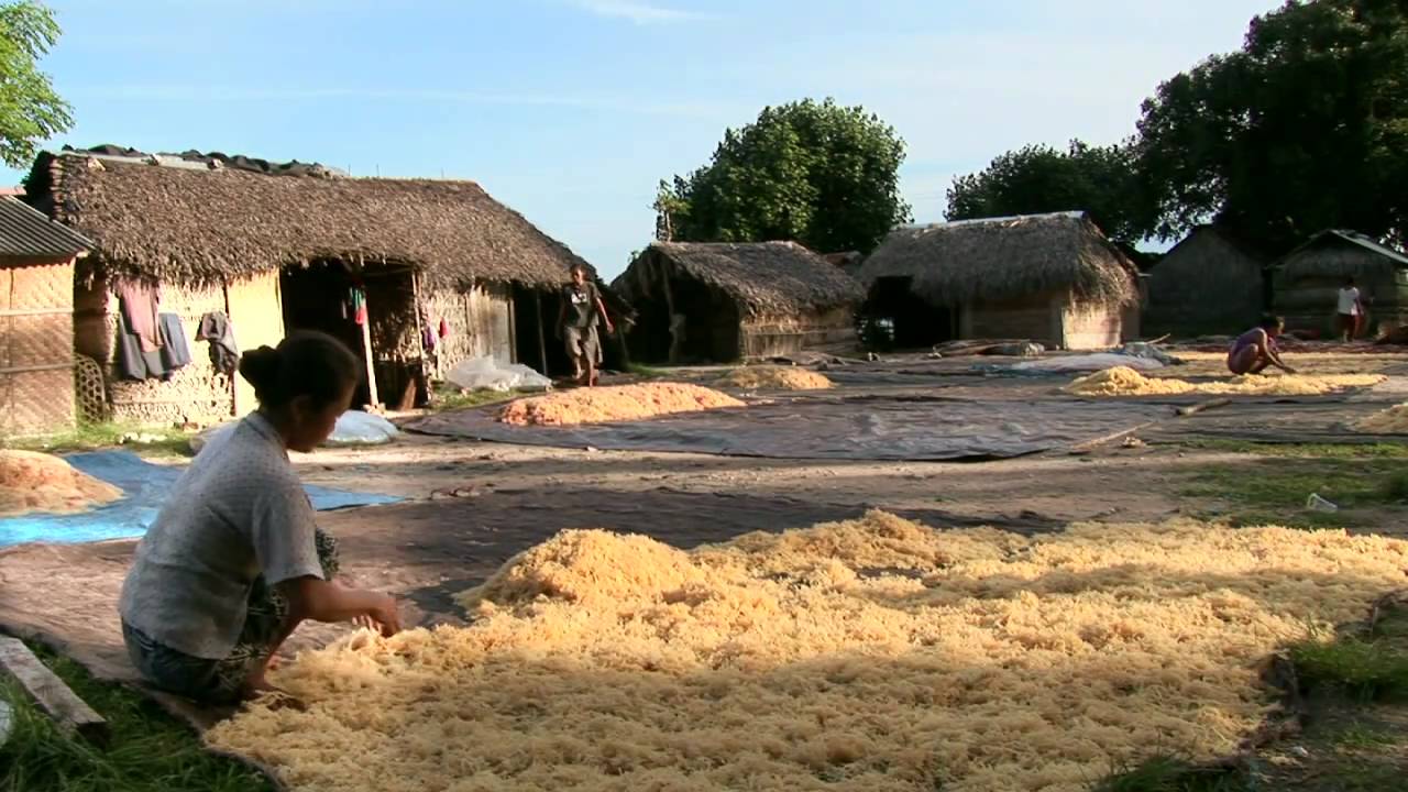 Unusual Cultures