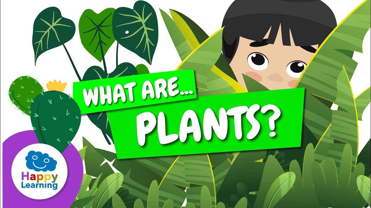 🌱WHAT ARE PLANTS? | Characteristics and Types | Educational Videos for Children @HappyLearningENG