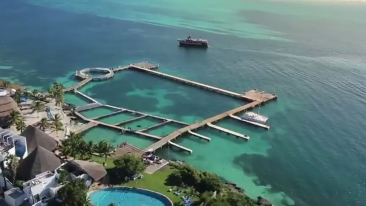 🐬 Nado con Delfines en Isla Mujeres 🐬 [Cancun 2020]  Dolphin Discovery
