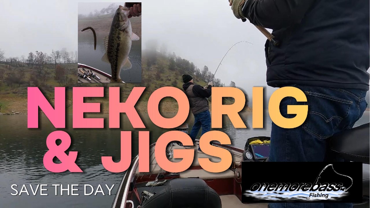 Cold & Foggy Tournament Practice | Deep Winter Bass on Neko Rigs & Jigs #fishing #bassfishing