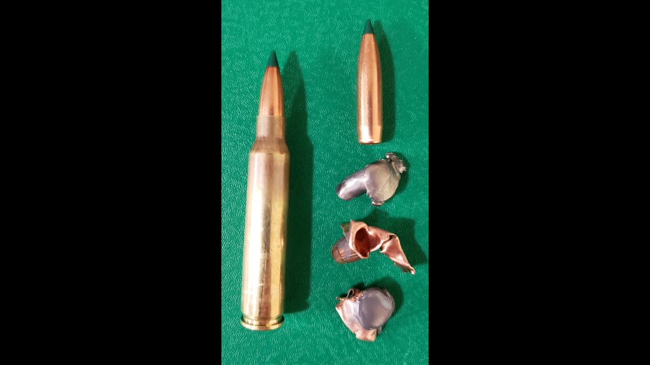 223 Rem 77 гран Sierra Tipped Matchking тест на баллистический гелевый тест