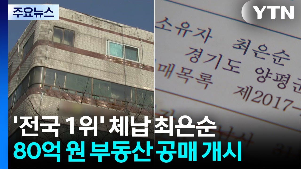 25억 안 내고 버티더니...'전국 1위' 체납 최은순 80억 원 부동산 공매 개시 / YTN