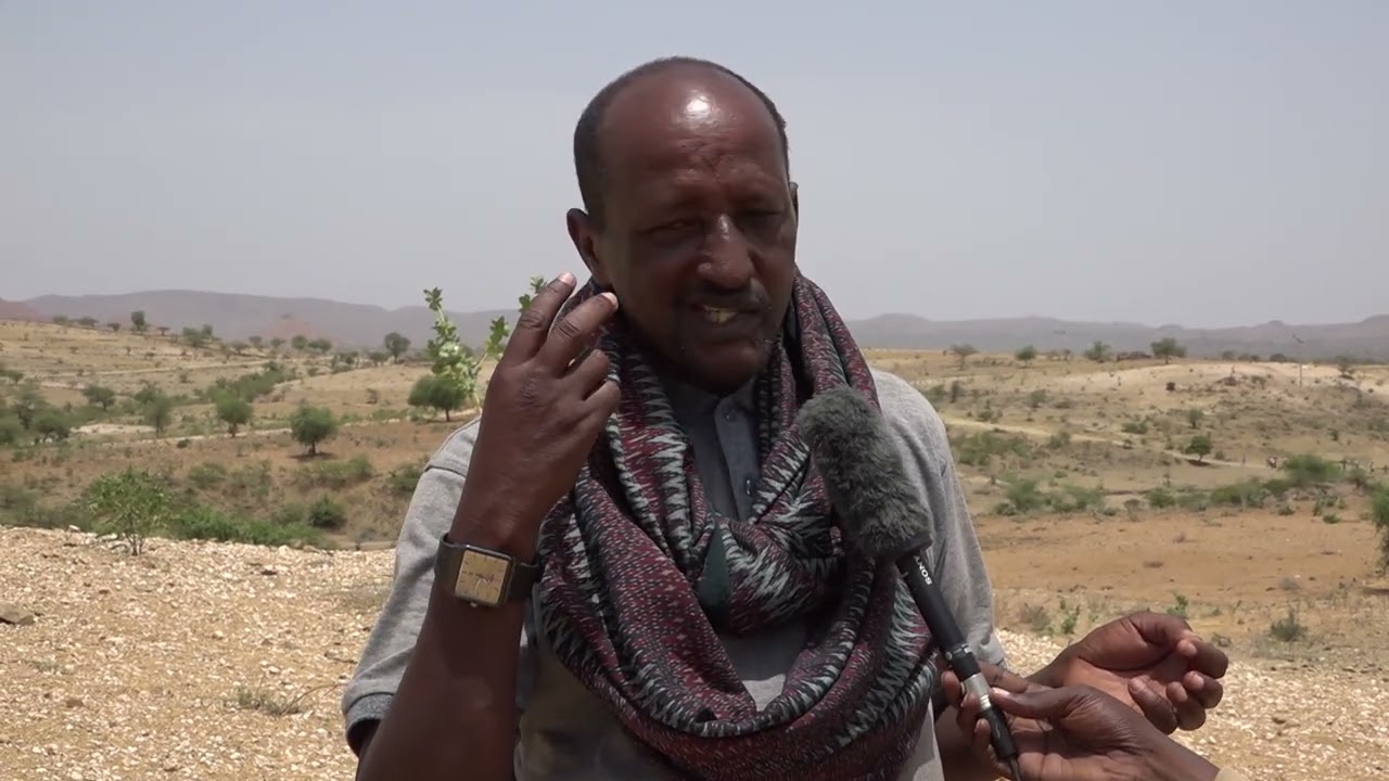 ትግራይ ትሰእኖም ካብ ዘላ መራሕቲ ፡ ኣንደበቶም