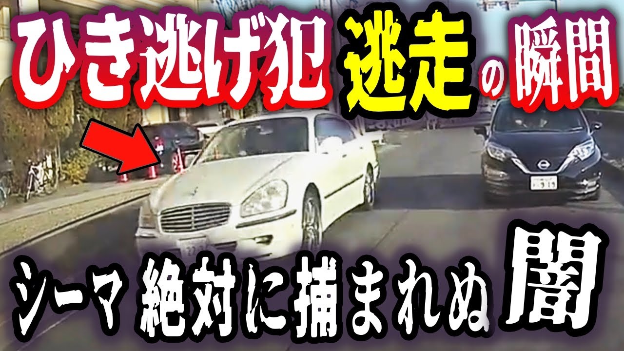 【ドラレコ狂人SP】シーマがバイクに衝突、逃走する全てを記録／大型ダンプによる狂人レベルの煽り／【珍百景】走行中にカラスに餌付け！