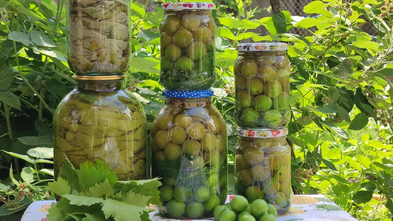 Заготовки на зиму: маринованная алыча,виноградные листья.Alça turşusu və üzüm yarpağları qış üçün