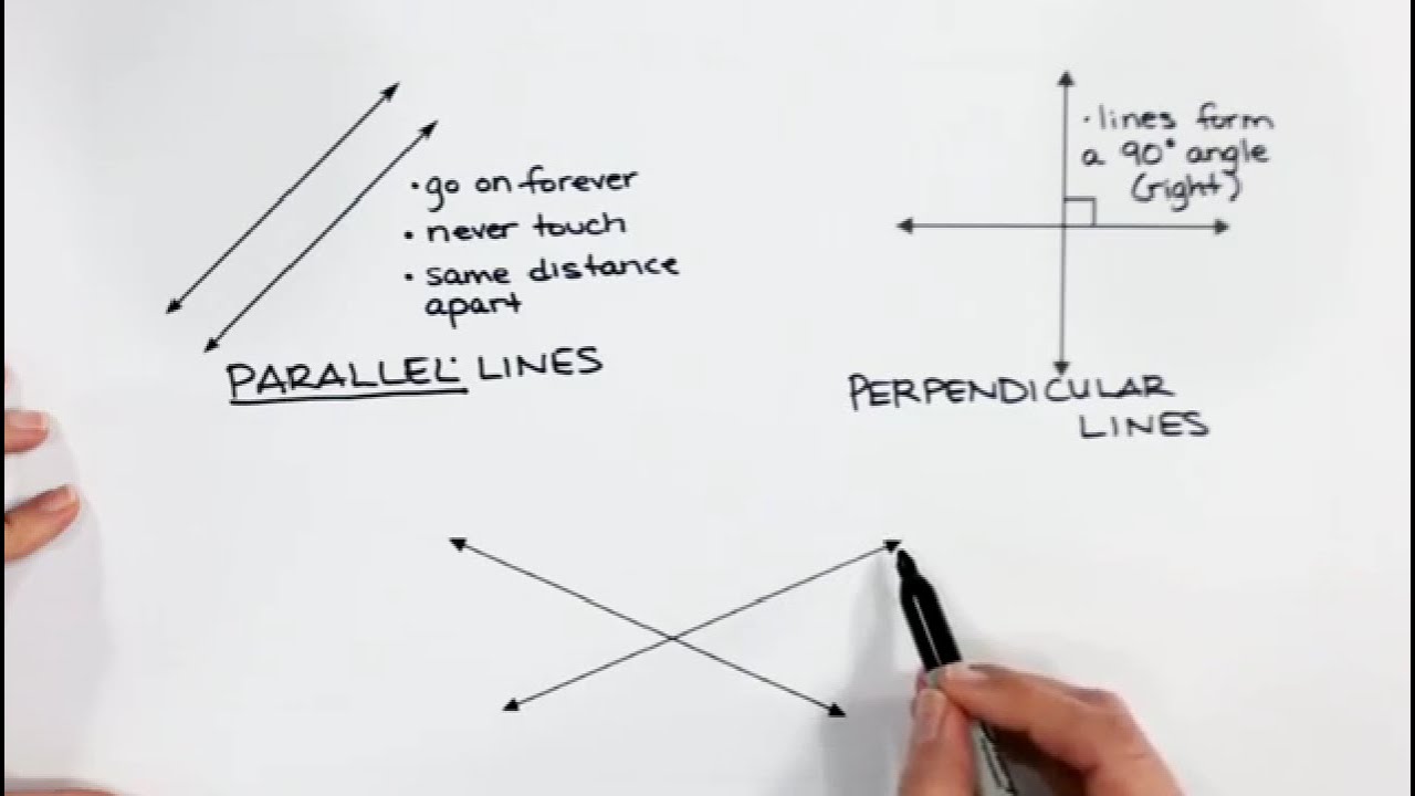Classifying Lines - Geometry - 2D Shapes