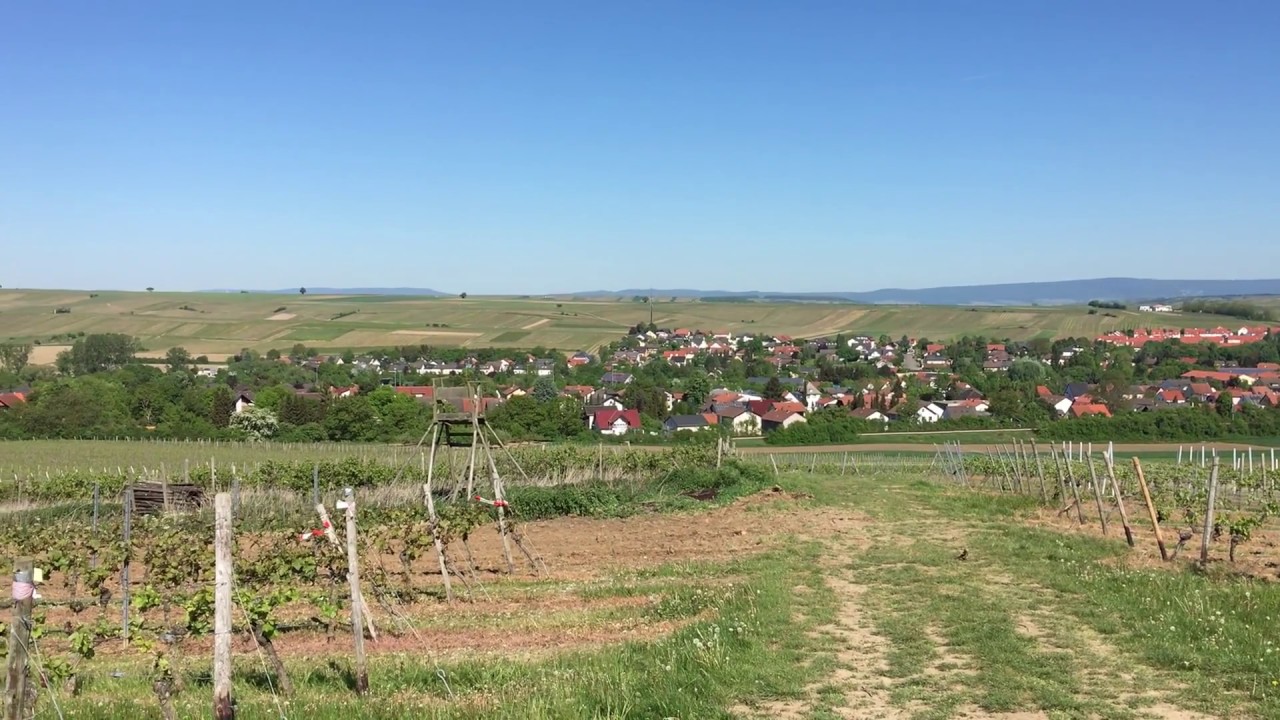 Saulheim, Rheinhessen, 360&deg; Panorama vom 6. Mai 2018