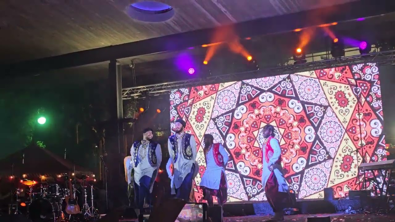 Houston 2024 Diwali Mela | Performance by Houston Bhangra Academy.