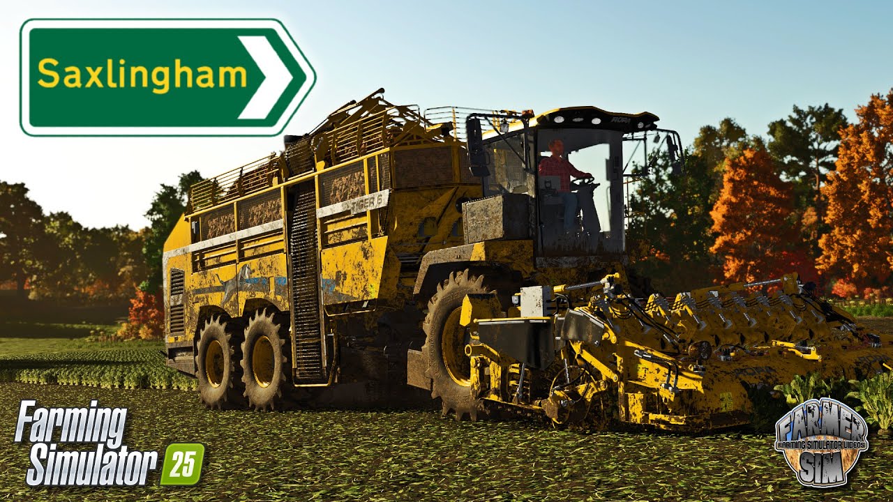 СБОР 30 АКР САХАРНОЙ СВЕКЛЫ! - 🇬🇧 Сакслингем 🇬🇧 - Эпизод 9 - Farming Simulator 25