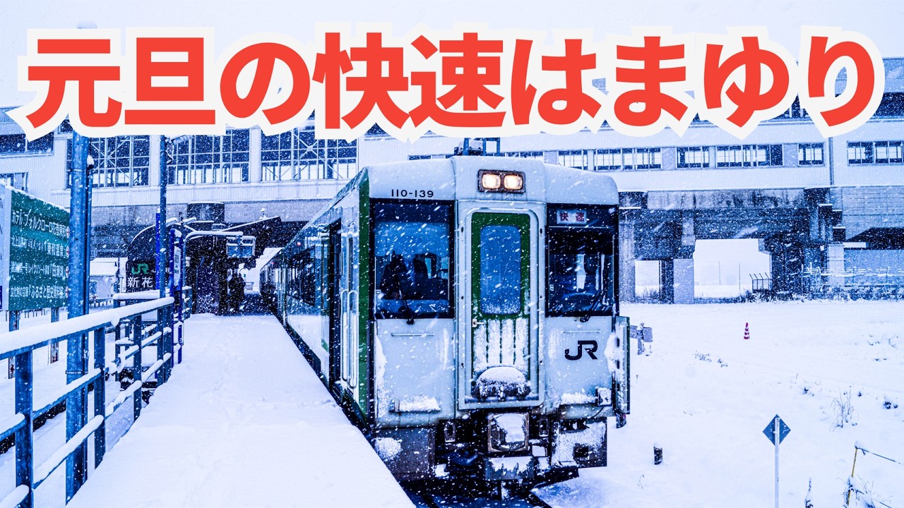 【快速はまゆり1号】元旦に乗る人いる？！