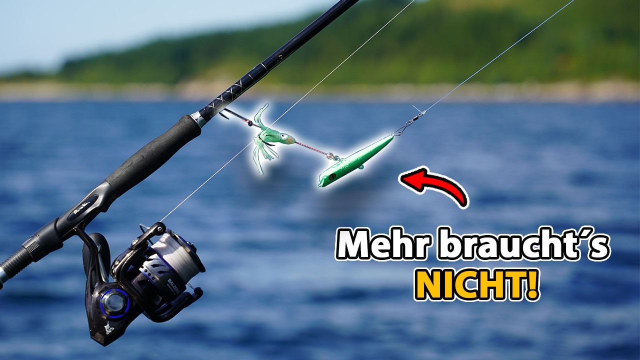 Monster Wittlinge in Norwegen!🎣So haben wir sie überlistet