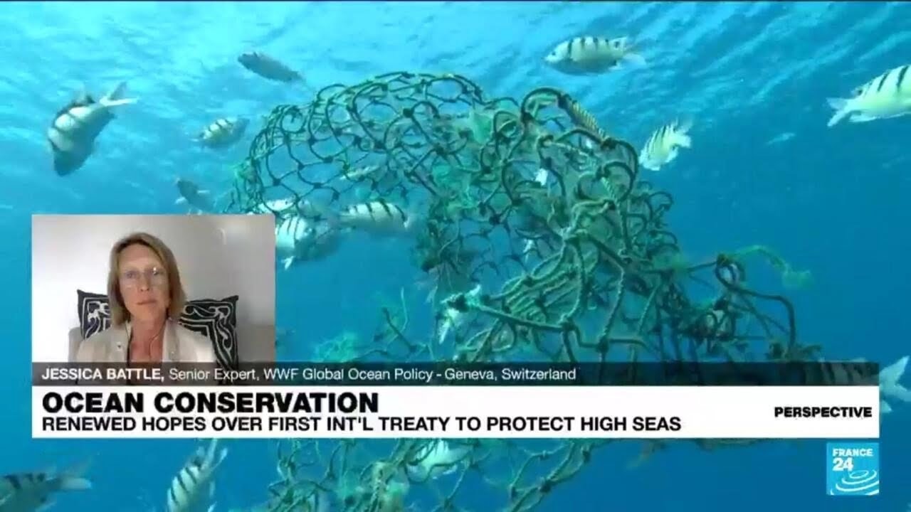 Ocean conservation: Why the first-ever high seas treaty matters &bull; FRANCE 24 English