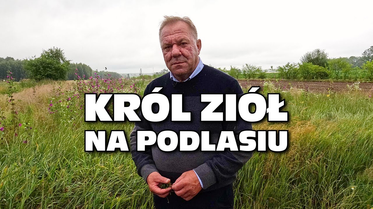 „Król ziół na Podlasiu” - u Mirosława Angielczyka, Ziołowy Zakątek, Dary Natury, część druga