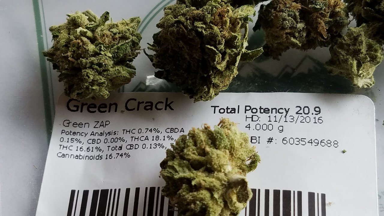 STRAIN REVIEW - 