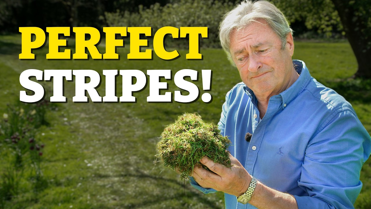 Why Your Lawn Looks Bad! (Do This Before You Mow)