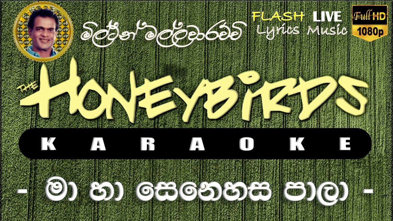 Ma Ha Senehasa Pala Karaoke (Without Voice) මා හා සෙනෙහස පාලා කැරෝකේ